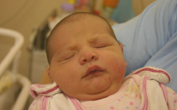 Radványi Zorka, Jánossomorja