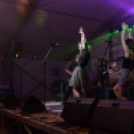 Szigetköz ízei, Vármegye borai Fesztivál 1. nap (Fotó: Bánhegyi István)