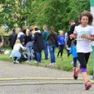 XII. Greiner Szigetköz Minimaraton (Fotó: Horváth Attila)