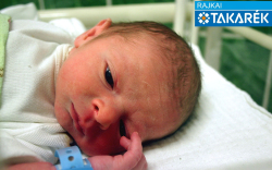 Farkas Ádám Levente. Mosonmagyaróvár