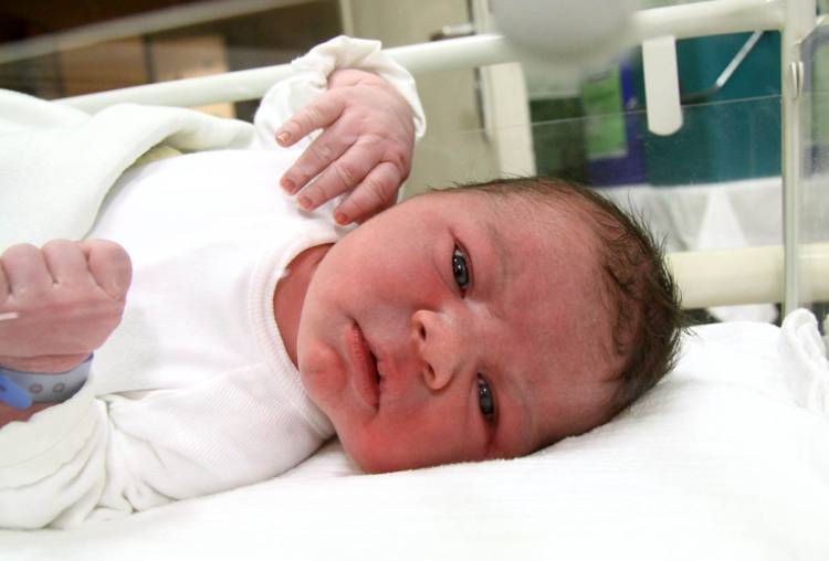 Sedlák Damján Dante, Csorna