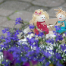 Apró kezek, csodakertek kertépítő verseny (Fotó: Horváth Attila)