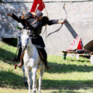  Szigetköz ízei, Vármegye borai Fesztivál 2. nap (Fotó: Stipkovits Veronika, Bánhegyi István)