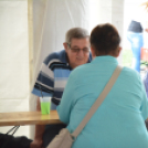 Greiner családi nap (Fotó: Nagy Mária)