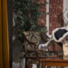 Kényeskedők - Major Tamás rendezésében