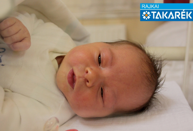 Prókai Anna, Mosonmagyaróvár