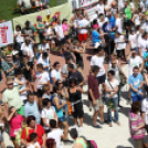 XV. Greiner Szigetköz Félmaraton