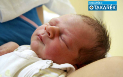 Horváth Noel, Mosonmagyaróvár