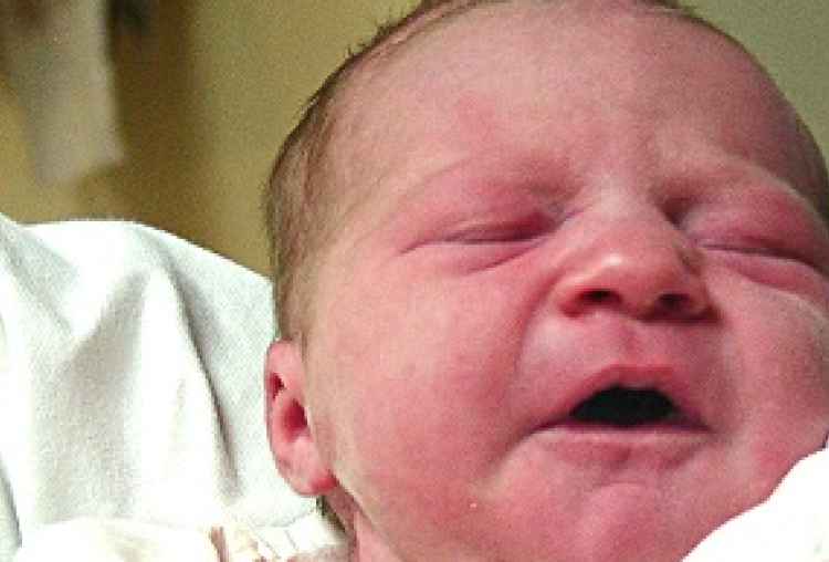 Takács Jázmin-Mecsér