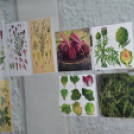 Anya lánya nap a Futurában (Fotó: Nagy Mária)