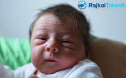 Tóth Máté, 2800 gr. Kapuvár