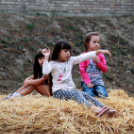 XI. Szigetköz ízei, Vármegye borai Fesztivál 3. nap