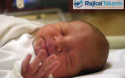 Mihályi Gergő, Levél