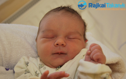 Jagadics Máté, 3680 gr. Mosonszentmiklós