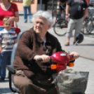 Belvárosi virágút (Fotó: Nagy Mária)