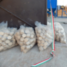 Brikett üzem átadó Mosonmagyaróvár- 2014.08.29.