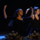 A Magyar Kultúra Napja