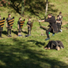 XII. Szigetköz ízei, Vármegye borai Fesztivál 2. nap