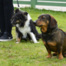 Pillangó Óvoda gyermeknap 2