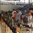 22. Nemzetközi Makett Kiállítás és Verseny