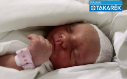 Takács Dorka Zsuzsanna, Mosonmagyaróvár