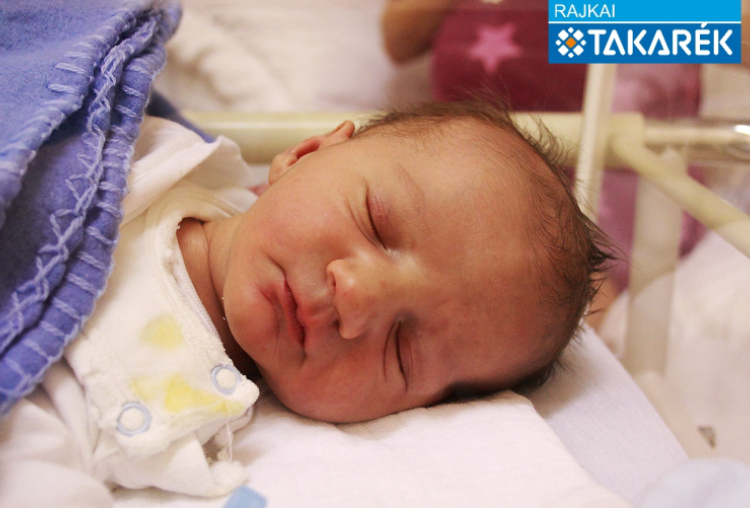 Varga Nimród, Mosonmagyaróvár