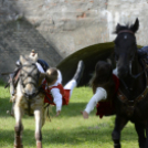 XII. Szigetköz ízei, Vármegye borai Fesztivál 2. nap