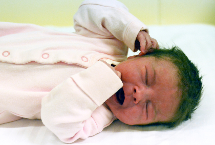 Ments Viktória, Rajka