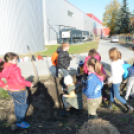 Faültetés a Nolato-nál (Fotó: Nagy Mária)