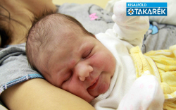 Régi Melánia Ella, Máriakálnok