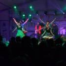 Szigetköz Ízei, Vármegye borai Fesztivál (péntek) (Fotó: Horváth Attila)