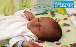 Kokas Vitó Valentino, Mosonmagyaróvár