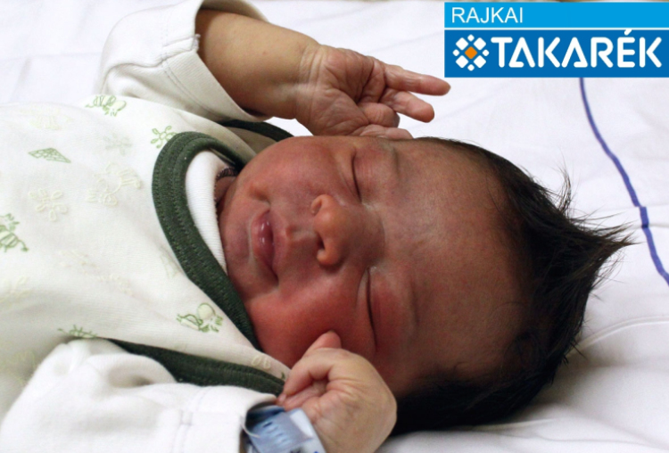 Falussy Csanád, Dunasziget