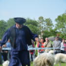 CAC kutyakiállítás (Fotó: Nagy Mária)