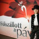 Fölszállott a páva 2016 döntő