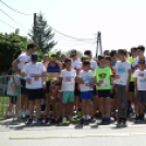 XV. Greiner Szigetköz Félmaraton