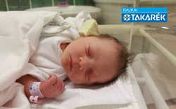 Giczi Mira Réka, Mosonmagyaróvár