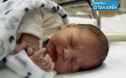 Balla Márk, Mosonmagyaróvár