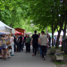 Moson Modell Show (Fotó: Stipkovits Veronika, Bánhegyi István)