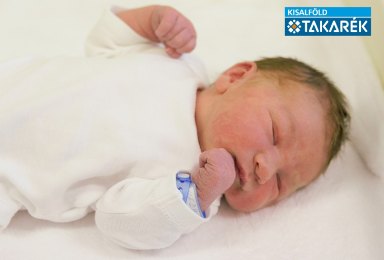 Vedrődi Hunor László, Mosonszolnok