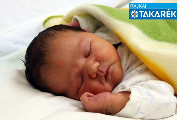 Fodor Alex Gergő, Mosonmagyaróvár