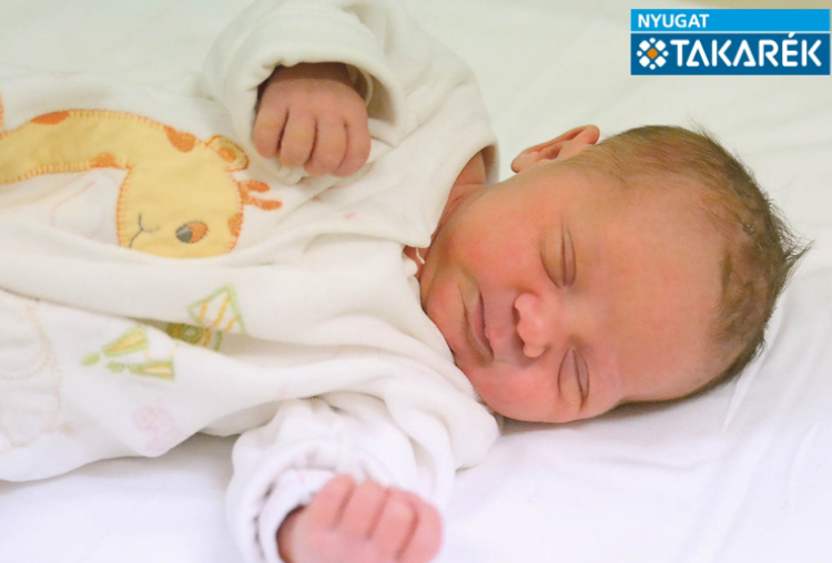 Szabados Britani, Mosonmagyaróvár