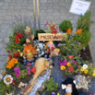 VII. Apró kezek, csodakertek Gyermek Kertépítő verseny