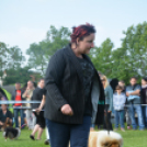 CAC kutyakiállítás (Fotó: Nagy Mária)