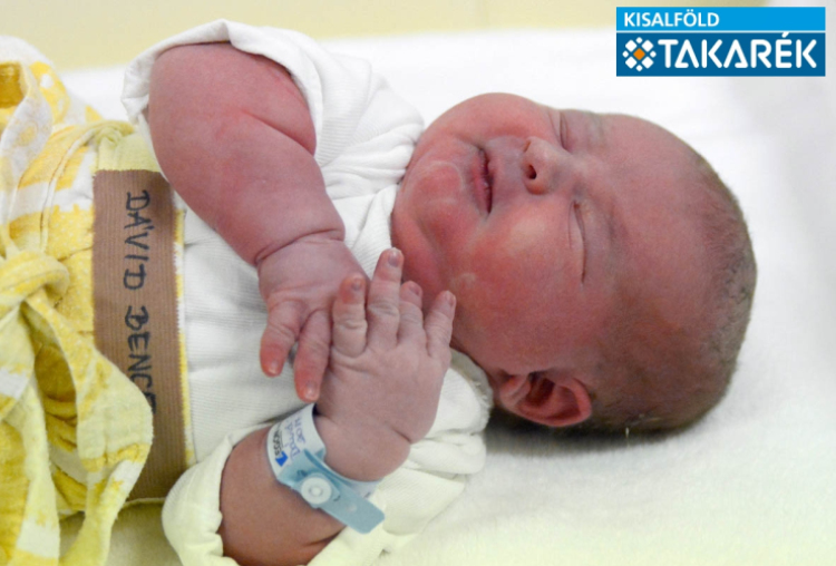 Dávid Bence, Győrújbarát