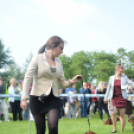 CAC kutyakiállítás (Fotó: Nagy Mária)