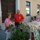 Kult-utca az Óvárosi kávéháznál (Fotó: Bánhegyi István)