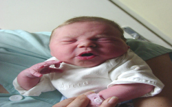 Körtvélyesi Réka-Móvár