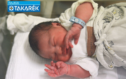 Szabó Marcell, Dunasziget