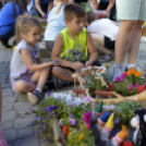VII. Apró kezek, csodakertek Gyermek Kertépítő verseny